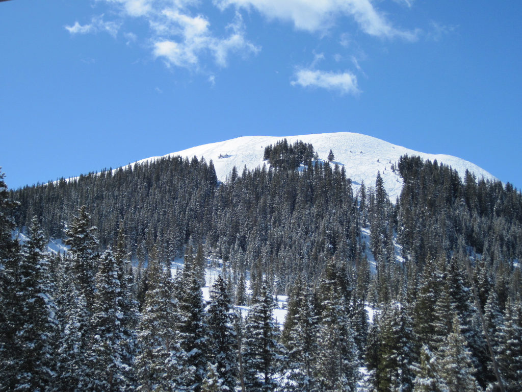 Bald Mountain Telluride tree skiing and treeline skiing