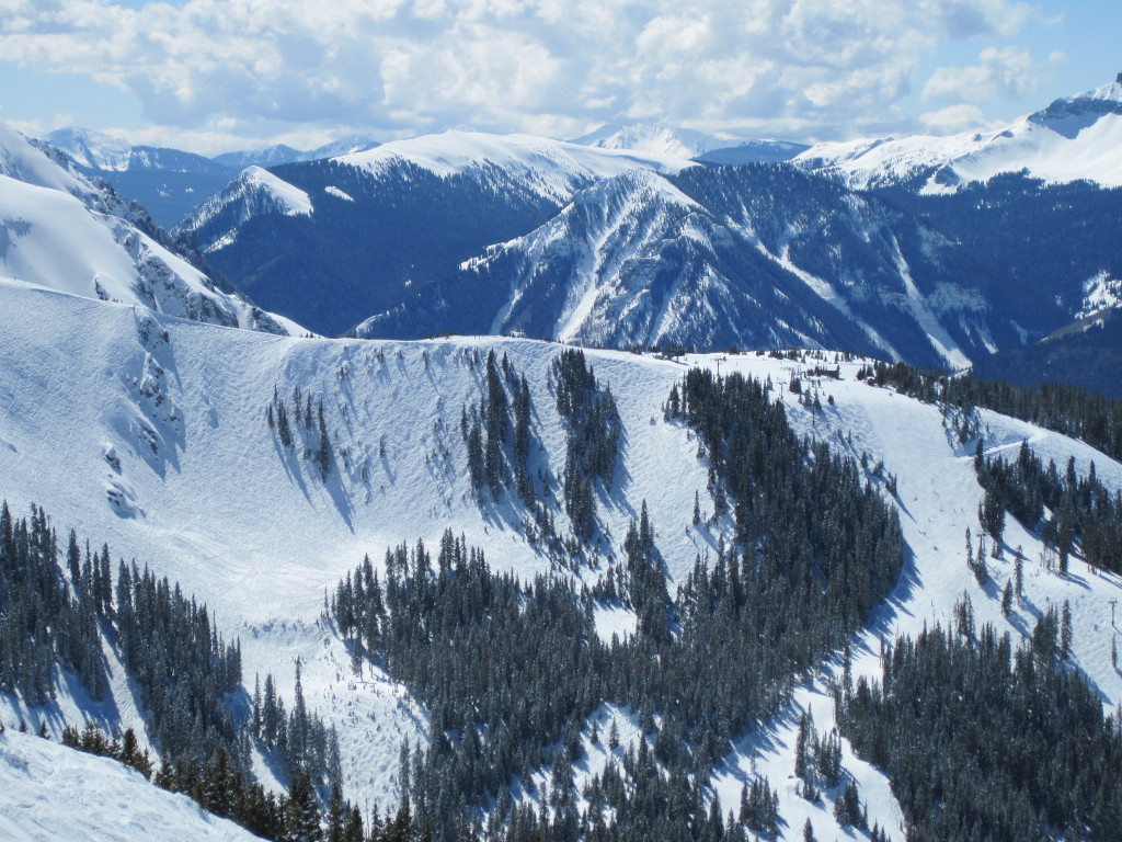 Prospect Bowl wide terrain photo at Telluride