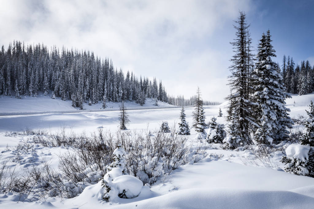 Wolf Creek Pass in Colorado during winter