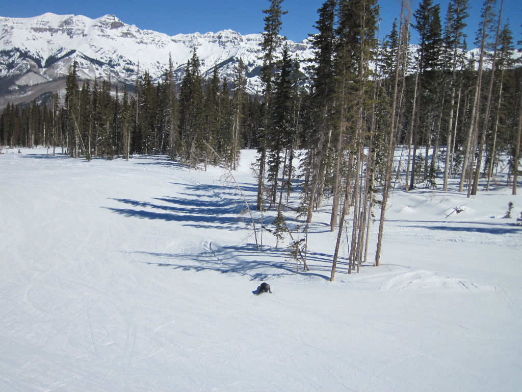 beginner skiing terrain near Ute Park Lift at Telluride