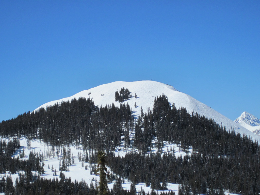 Bald Mountain hiking terrain on Telluride with ski tracks on a powder day