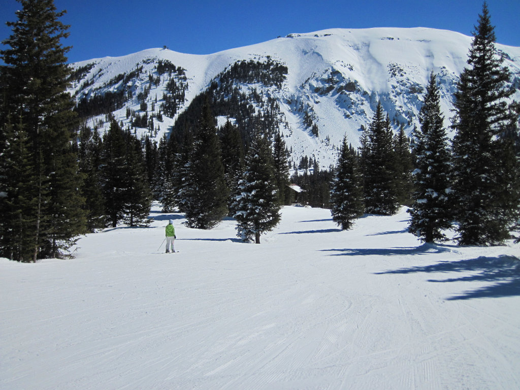 Prospect Bowl skiing with trees and Gold Hill Chutes in background at Telluride