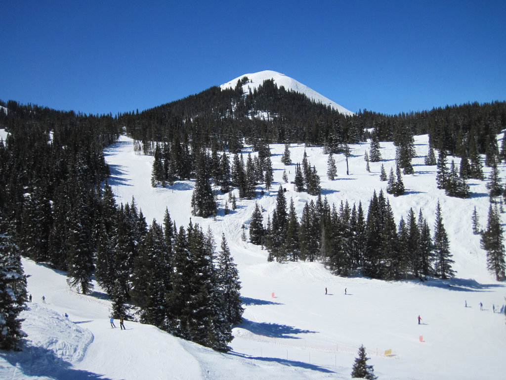 Telluride Prospect Bowl intermediate gladed ski terrain with trees
