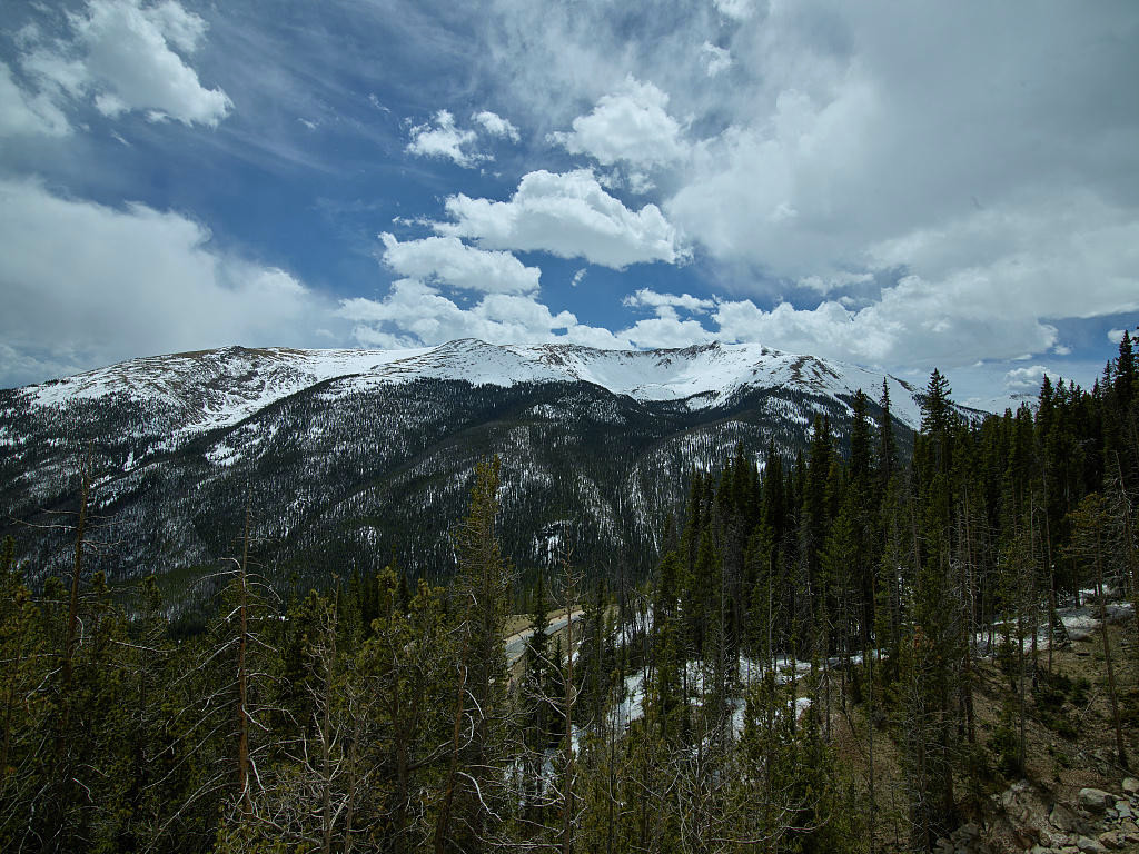 Berthoud Pass during the summer