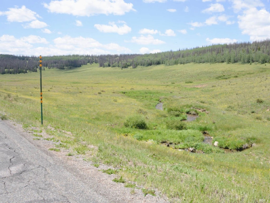 Spring Creek on the Continental Divide is a tributary of the Rio Grande River and seen here on Spring Creek Pass