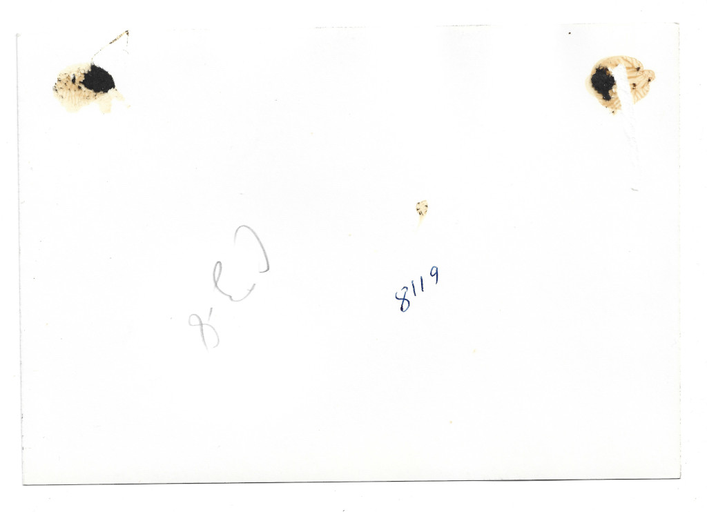 backside of 1945 Denver Rio Grande Locomotive 484 Lizard Head Pass Photograph #CL-Z4